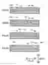 Fig. 09 - Liquid ejection head having flow passages