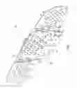 Fig. 02 - Friction module, friction hinge, and adjustable headrest including the friction module and/or friction hinge