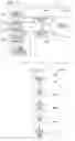 Fig. 09 - Robotic tossing of items in inventory system