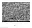 Fig. 09 - Method for making three-dimensional porous composite structure