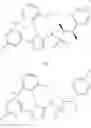 Fig. 366 - Triazole agonists of the APJ receptor