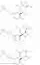 Fig. 06 - BACE1 inhibitors