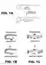 Fig. 02 - Methods and compositions for red-shifted chromophore substitution for optogenetic applications