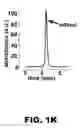 Fig. 06 - Methods and compositions for red-shifted chromophore substitution for optogenetic applications