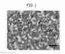 Fig. 02 - RUBBER COMPOSITION AND TIRE