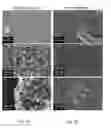 Fig. 03 - Antibacterial coating or surface comprising vertical, standing angstrom scale flakes