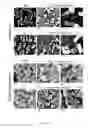 Fig. 12 - Antibacterial coating or surface comprising vertical, standing angstrom scale flakes