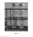 Fig. 07 - Polysaccharide coated nanoparticle compositions comprising ions