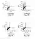 Fig. 06 - ABCB5 positive mesenchymal stem cells as immunomodulators