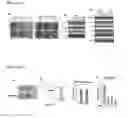 Fig. 03 - Agents and methods for treating and preventing seborrheic keratosis