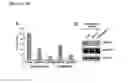 Fig. 06 - Agents and methods for treating and preventing seborrheic keratosis