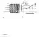 Fig. 06 - METHODS FOR PREPARING CELLS FOR ADOPTIVE T CELL THERAPY