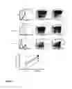 Fig. 07 - METHODS FOR PREPARING CELLS FOR ADOPTIVE T CELL THERAPY