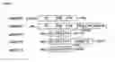 Fig. 02 - T cell receptor-deficient T cell compositions