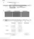 Fig. 02 - PROCESS OF GENE-EDITING OF CELLS ISOLATED FROM A SUBJECT SUFFERING FROM A METABOLIC DISEASE AFFECTING THE ERYTHROID LINEAGE, CELLS OBTAINED BY SAID PROCESS AND USES THEREOF