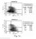 Fig. 02 - EXPANSION OF RENEWABLE STEM CELL POPULATIONS