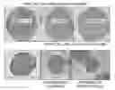 Fig. 01 - Methods of producing in vitro liver constructs and uses thereof