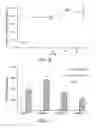 Fig. 04 - Methods of producing in vitro liver constructs and uses thereof
