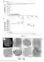 Fig. 06 - Methods of producing in vitro liver constructs and uses thereof