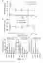 Fig. 07 - Methods of producing in vitro liver constructs and uses thereof