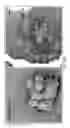 Fig. 45 - INDUCED PLURIPOTENT STEM CELLS