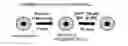 Fig. 01 - Intestinal epithelioid cells