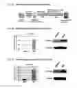 Fig. 10 - Intestinal epithelioid cells