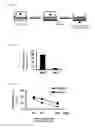 Fig. 16 - Intestinal epithelioid cells