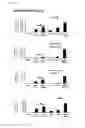 Fig. 19 - Intestinal epithelioid cells