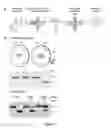 Fig. 03 - Highly sensitive optical sensor for polymerase screening