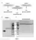 Fig. 08 - Highly sensitive optical sensor for polymerase screening