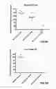 Fig. 07 - MODIFIED SULFAMIDASE AND PRODUCTION THEREOF