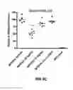 Fig. 08 - MODIFIED SULFAMIDASE AND PRODUCTION THEREOF