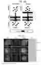 Fig. 19 - DIRECTED DIFFERENTIATION OF PLURIPOTENT STEM CELLS BY BACTERIAL INJECTION OF TALEN PROTEINS