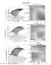 Fig. 23 - DIRECTED DIFFERENTIATION OF PLURIPOTENT STEM CELLS BY BACTERIAL INJECTION OF TALEN PROTEINS