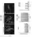 Fig. 29 - DIRECTED DIFFERENTIATION OF PLURIPOTENT STEM CELLS BY BACTERIAL INJECTION OF TALEN PROTEINS
