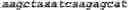 Fig. 10 - Bacteria engineered to reduce hyperphenylalaninemia