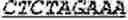 Fig. 109 - Bacteria engineered to reduce hyperphenylalaninemia