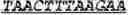 Fig. 111 - Bacteria engineered to reduce hyperphenylalaninemia