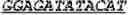 Fig. 112 - Bacteria engineered to reduce hyperphenylalaninemia