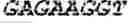Fig. 133 - Bacteria engineered to reduce hyperphenylalaninemia