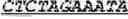 Fig. 134 - Bacteria engineered to reduce hyperphenylalaninemia