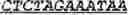 Fig. 149 - Bacteria engineered to reduce hyperphenylalaninemia