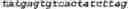 Fig. 16 - Bacteria engineered to reduce hyperphenylalaninemia