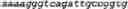 Fig. 17 - Bacteria engineered to reduce hyperphenylalaninemia