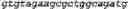 Fig. 25 - Bacteria engineered to reduce hyperphenylalaninemia