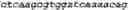 Fig. 27 - Bacteria engineered to reduce hyperphenylalaninemia