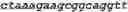Fig. 28 - Bacteria engineered to reduce hyperphenylalaninemia