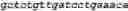Fig. 34 - Bacteria engineered to reduce hyperphenylalaninemia
