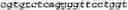 Fig. 46 - Bacteria engineered to reduce hyperphenylalaninemia